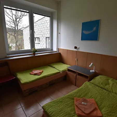 Hotel U Pralesa *