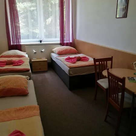 U Pralesa Benesov nad Cernou