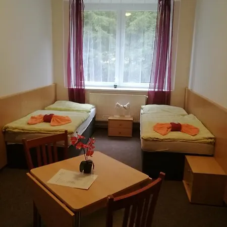 Hotel U Pralesa *